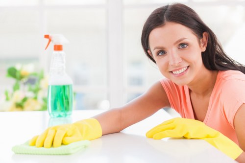 Carpet cleaning team using sustainable methods in West Hampstead