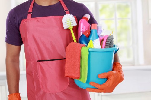 Professional carpet cleaning in a West Hampstead home