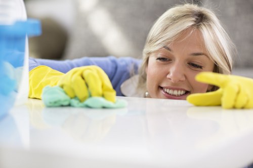 Supplier audit and due diligence process for carpet cleaners