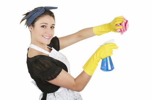 Deep steam cleaning process for carpets in West Hampstead
