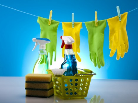 Stain removal and deep cleaning for carpets in West Hampstead